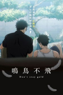 鳴鳥不飛：Don't stay gold