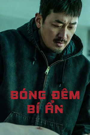 Bóng Đêm Bí Ẩn