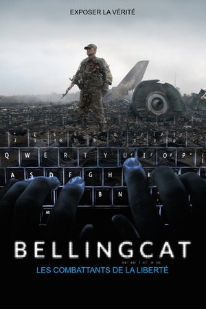 Bellingcat, les combattants de la liberté