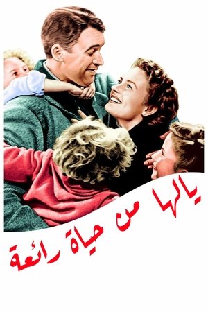 إنها حياة رائعة