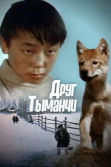 Друг Тыманчи