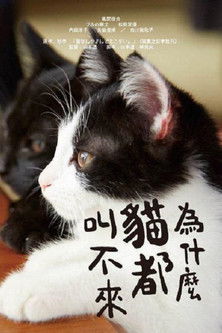 為什麼貓都叫不來