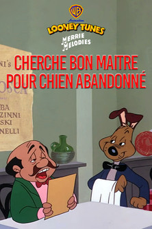 Cherche bon maître pour chien abandonné