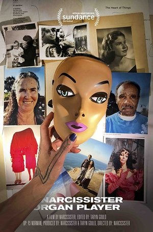 나르시시스터 오건 플레이어