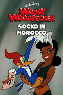 Socko in Morocco