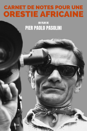 Carnet de notes pour une Orestie africaine