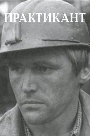 Практикант