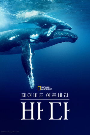 데이비드 애튼버러: 바다