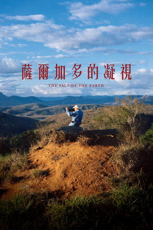 薩爾加多的凝視