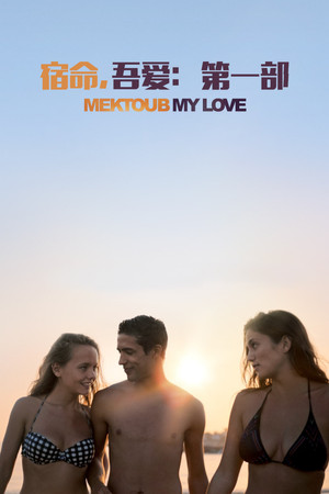宿命，吾愛