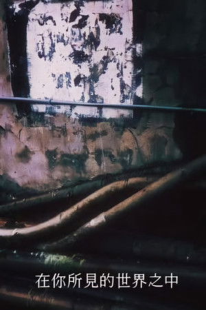 在你所見的世界之中