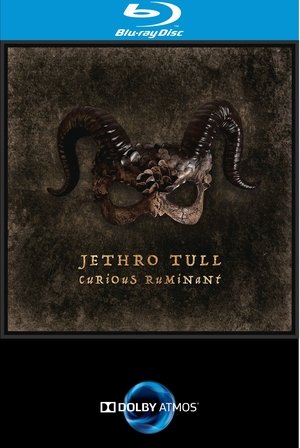 Jethro Tull - Curious Ruminant