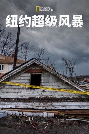 Superstorm New York: What Really Happened