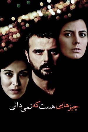 چیزهایی هست که نمی‌دانی