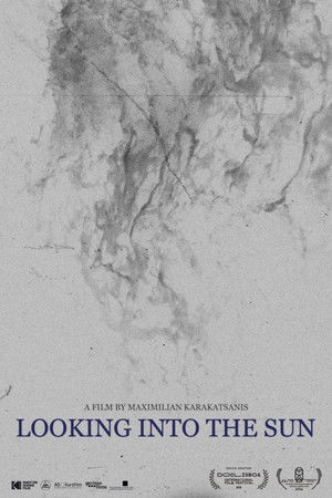 In Die Sonne Blicken