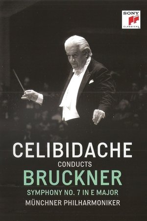 Bruckner - Symphony No. 7 (Sergiu Celibidache, live at the Suntory Hall, Tokyo)