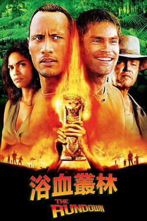 浴血叢林