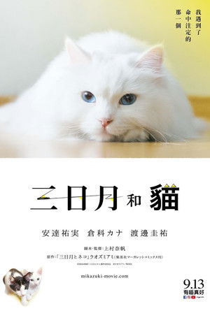 三日月和貓