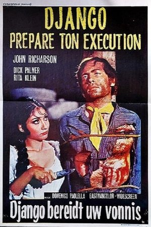 Django, prépare ton exécution