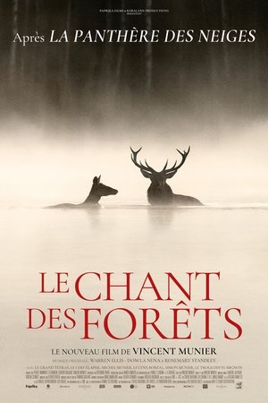 Le chant des forêts