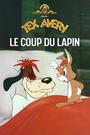 Le coup du lapin