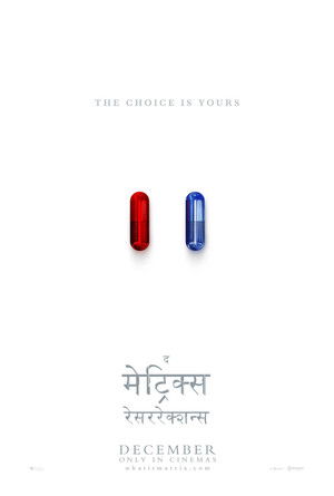 द मेट्रिक्स रेसररेक्शन्स