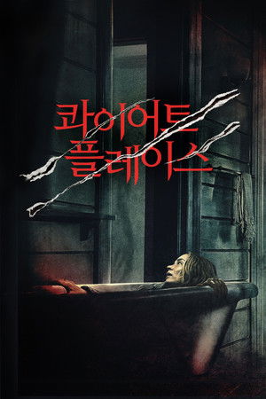 콰이어트 플레이스