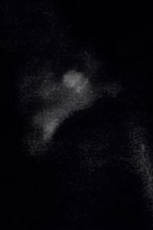 ราตรีวงกต