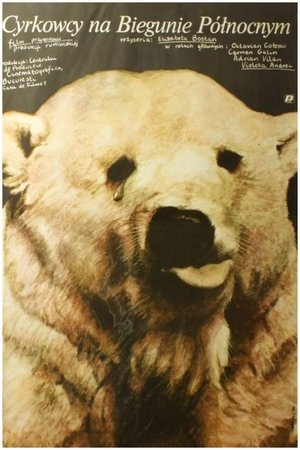 Акробат на Северном полюсе