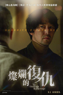 燦爛的復仇