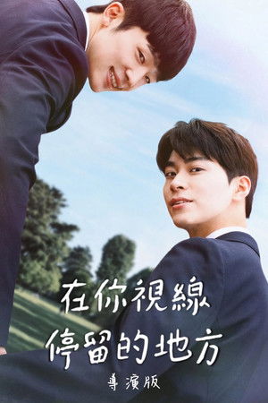 在你視線停留的地方 導演版