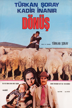 Возвращение