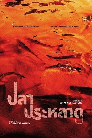 ปลาประหลาด