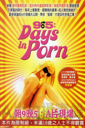 9to5: Days in Porn