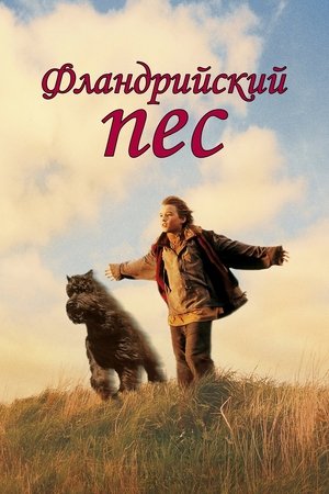 Фламандский пёс