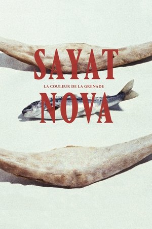 Sayat Nova : La Couleur de la grenade