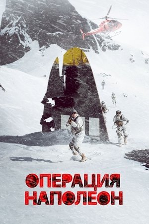 Операция «Наполеон»