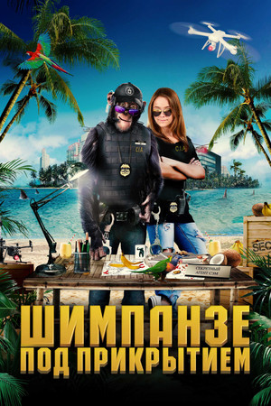 Шимпанзе под прикрытием