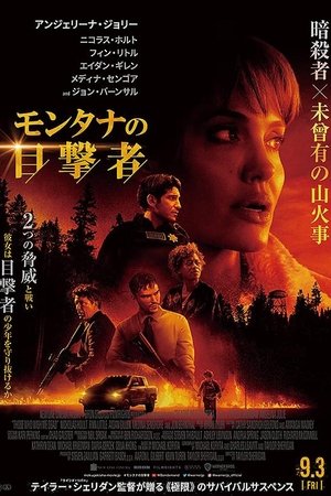 モンタナの目撃者