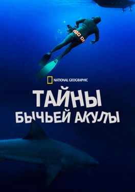 Тайны бычьей акулы