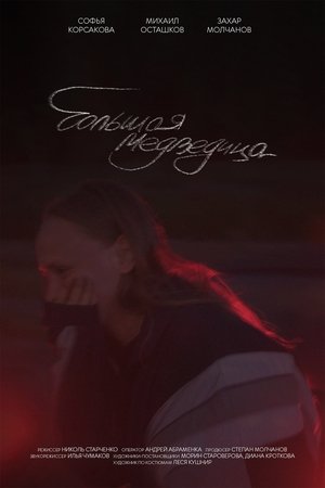 Большая медведица