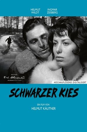 Schwarzer Kies