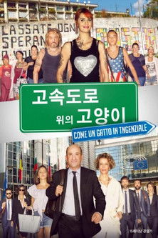 고속도로 위의 고양이