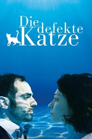 Кошка с дефектом