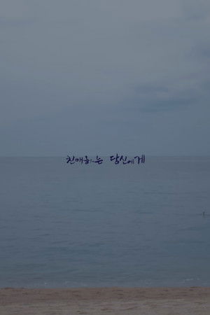 친애하는 당신에게