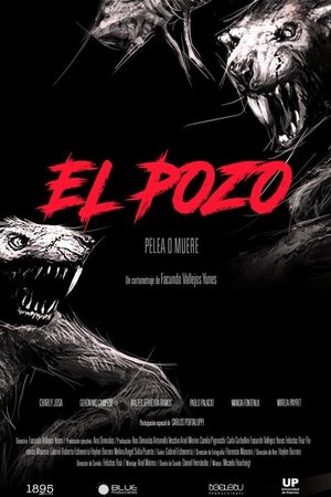 El pozo