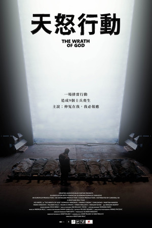 天怒行動
