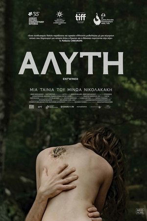 Переплетённые