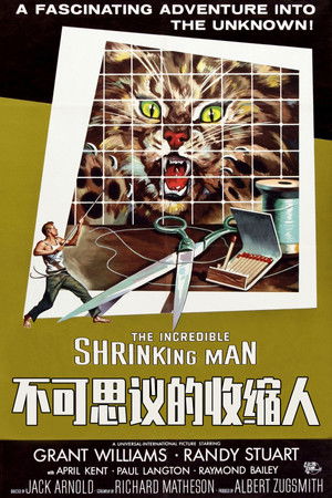 不可思議的縮小人