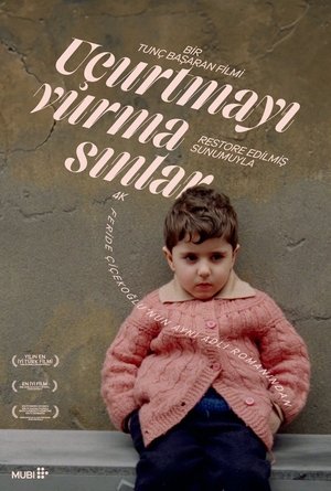 Uçurtmayı Vurmasınlar